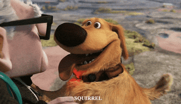 Dug the dog from the movie up excitedly saying &quot;squirrel&quot;