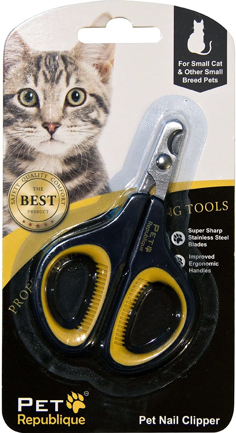 25 Under50 Cat Products From Amazon That Are Just Plain Useful