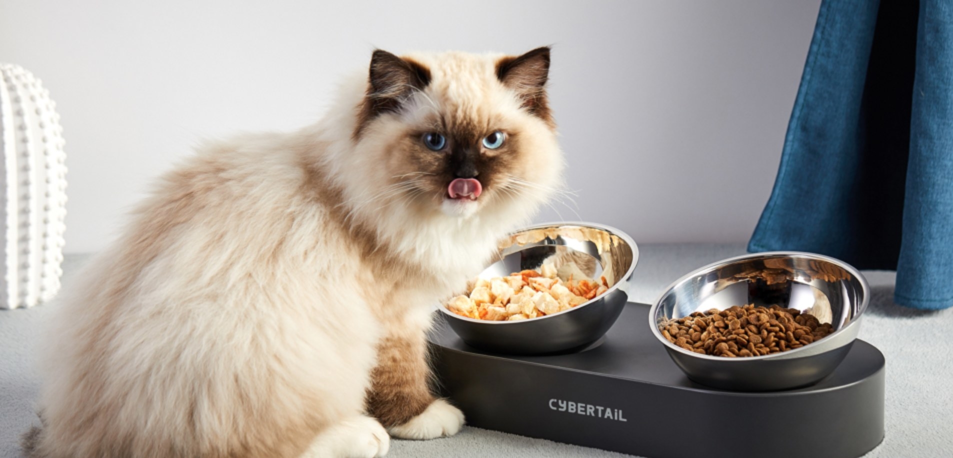 a cat licking its lips and standing next to the raised, tilted bowls