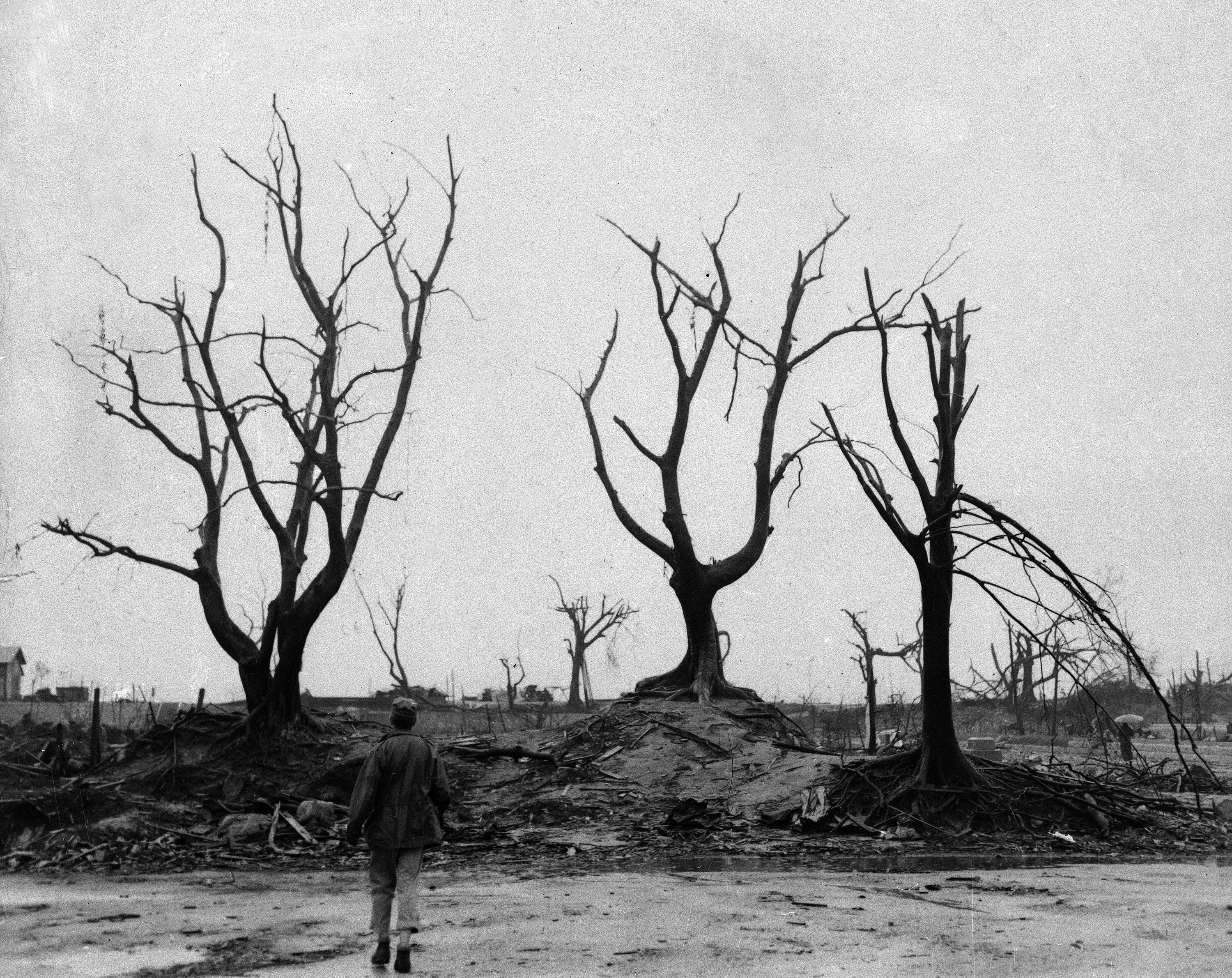 A man walks toward blackened trees towering over a mile of rubble