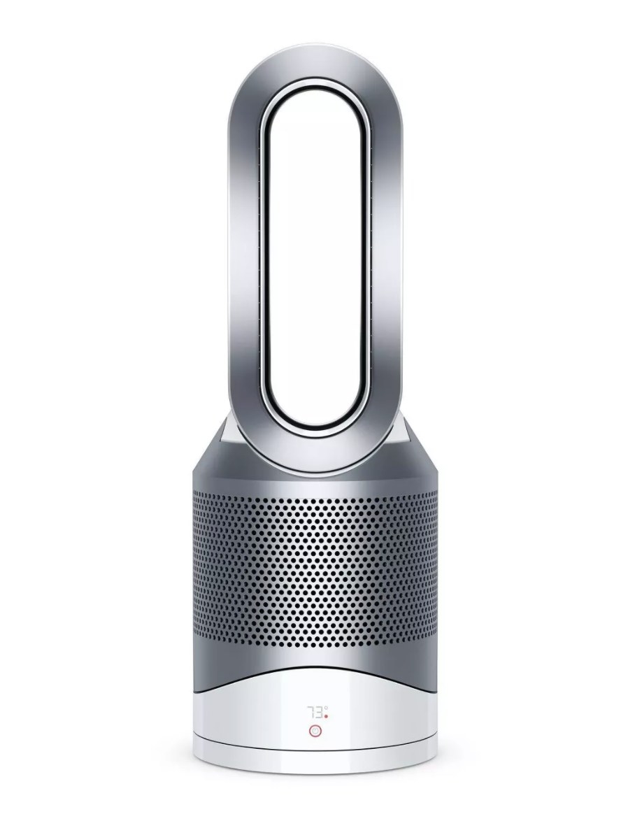 The air purifier, which is oval-shaped and silver 