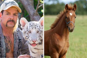 Joe Exotic and tiger and a horse.