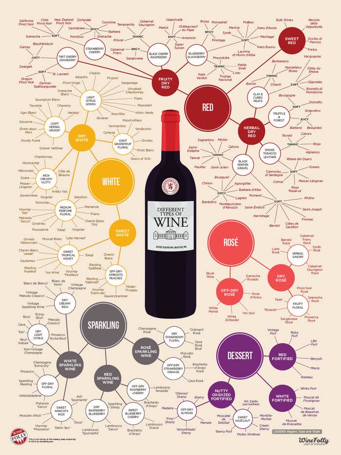 A poster containing hundreds of wine varietals and their descriptions.