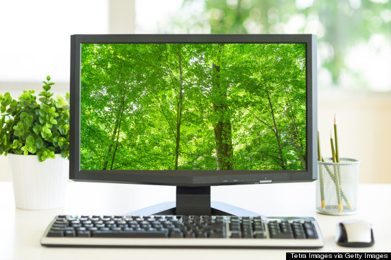 Tree background on a computer screen
