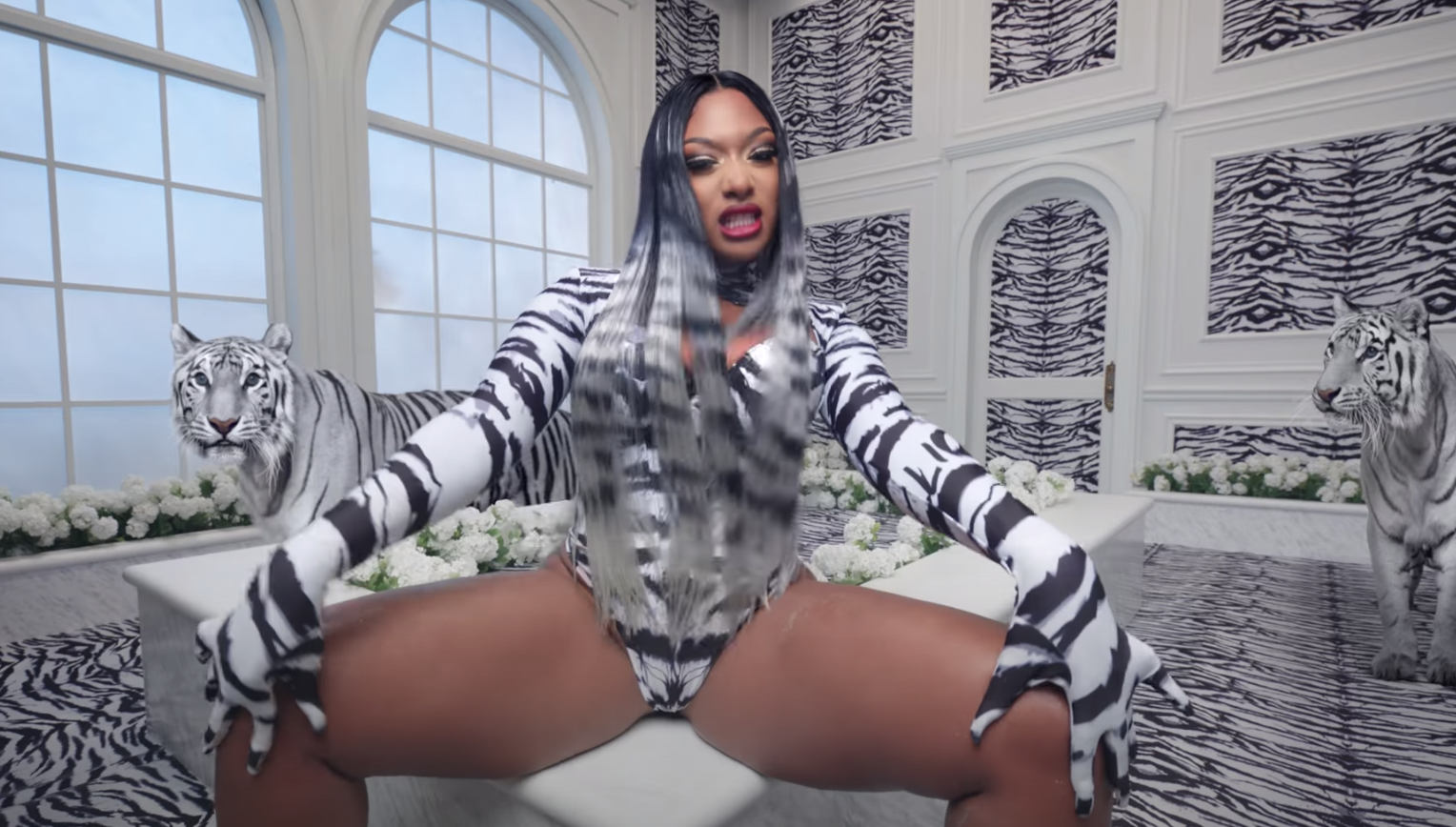 Carole Baskin Called Out Cardi B And Megan Thee Stallion For Using Large  Cats In 