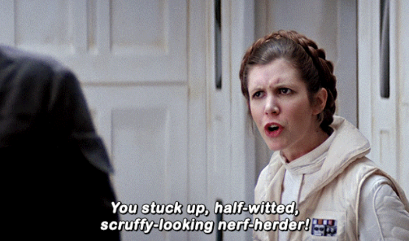 Leia angrily telling Han he&#x27;s a scruffy-looking nerf-herder