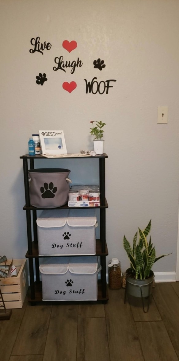 storage for dog stuff