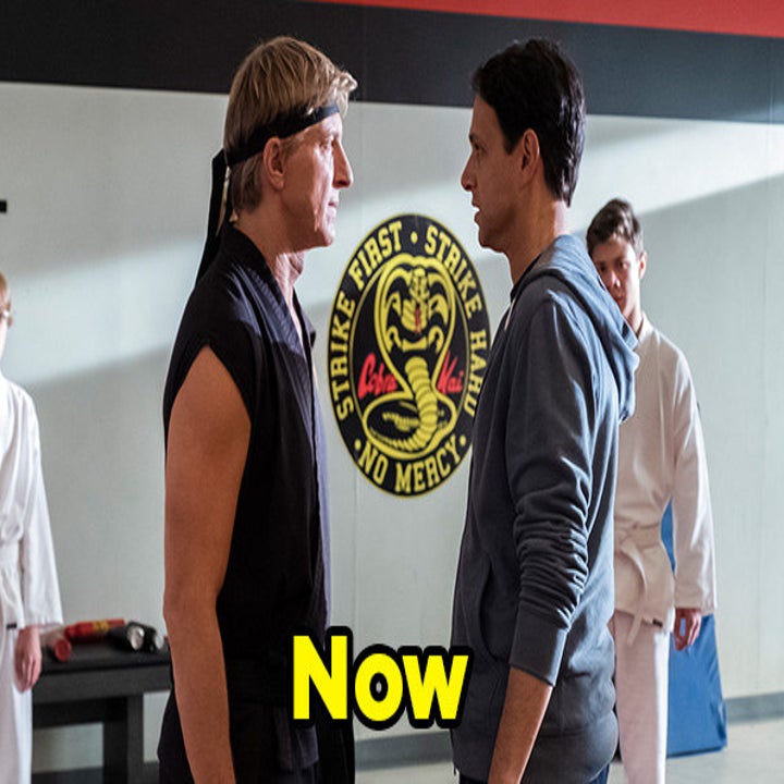 Reasons To Watch Cobra Kai On Netflix