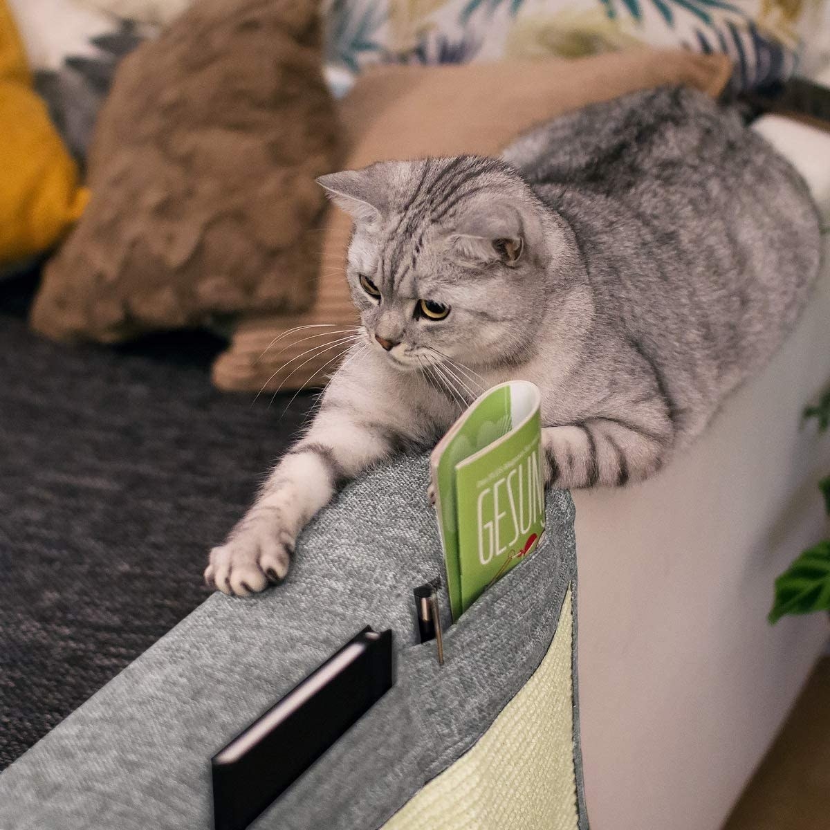 A cat with the scratching post armrest