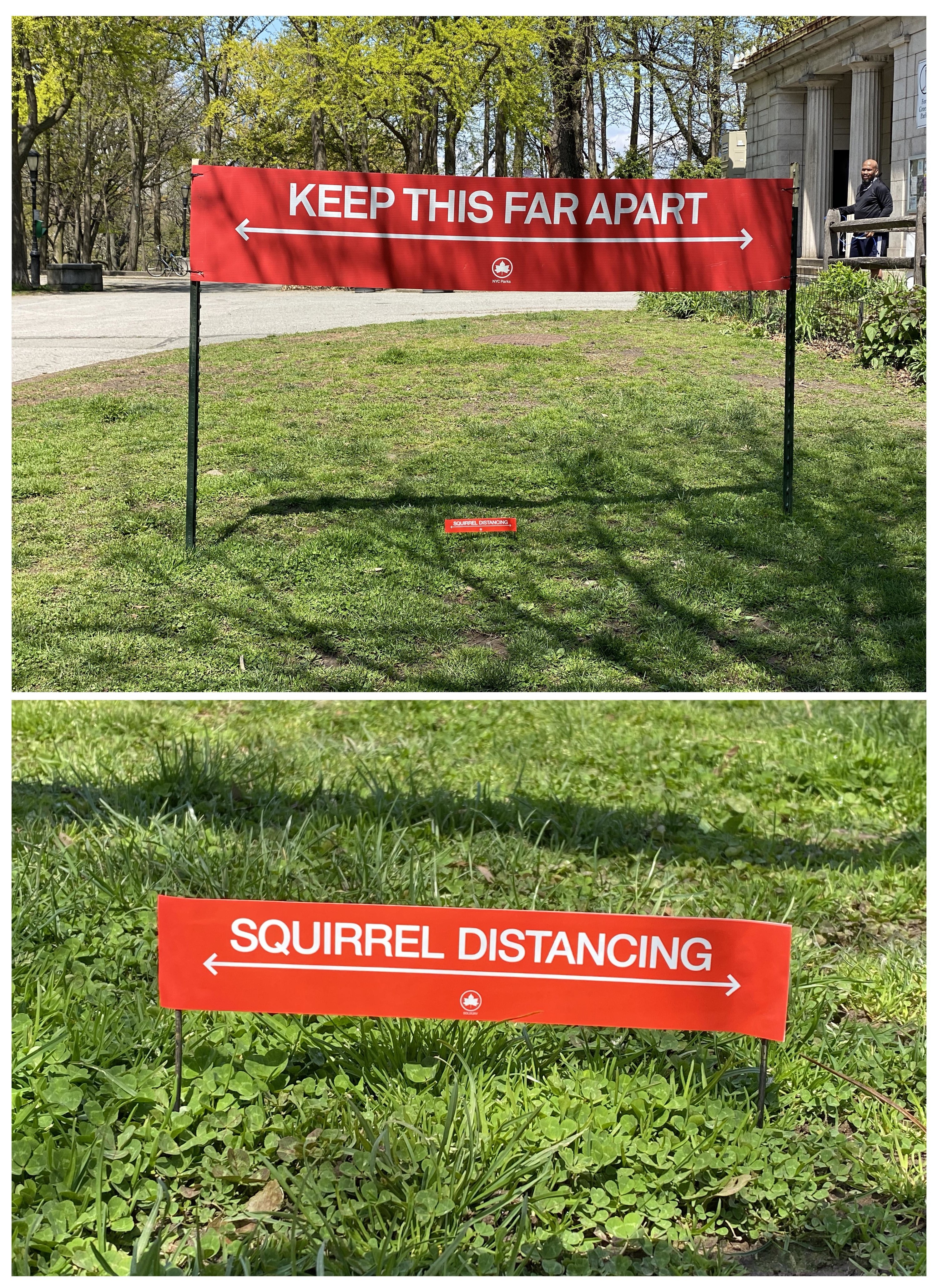 a tiny little sign in a park that reads Squirrel Distancing