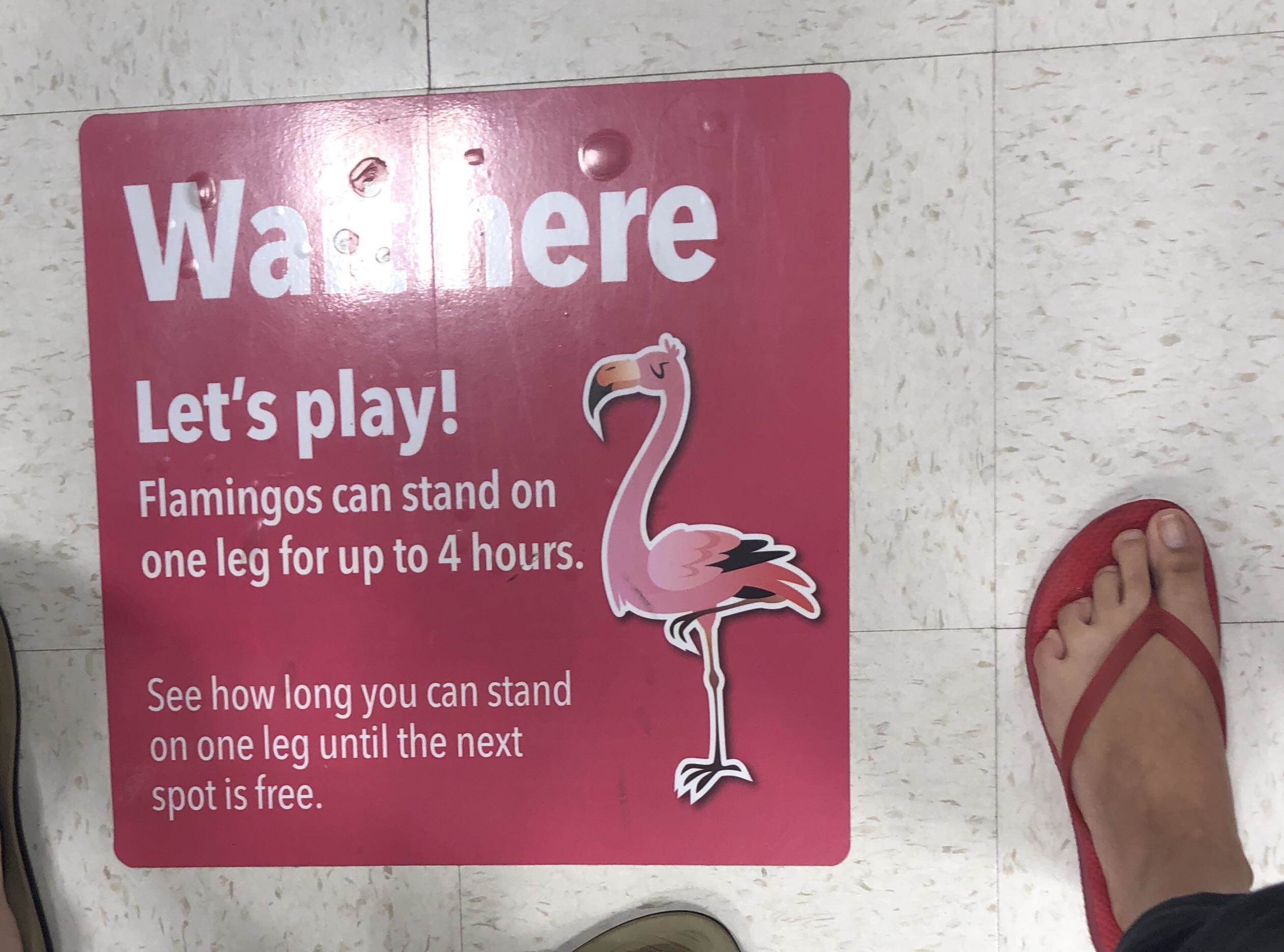 a floor marker featuring a flamingo on it, encouraging kids to stand on one leg