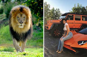Lion and Kylie sitting on a car.