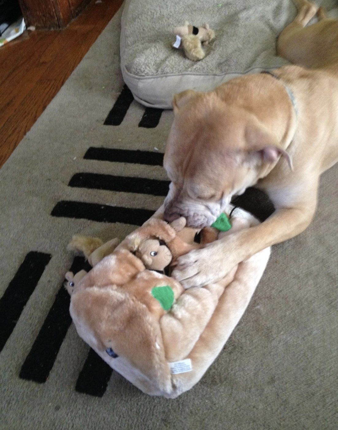 Dog pulling a plush squirrel out of the plush tree trunk