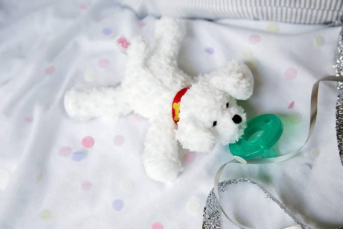 Small white dog plushie connected to classic pacifier 