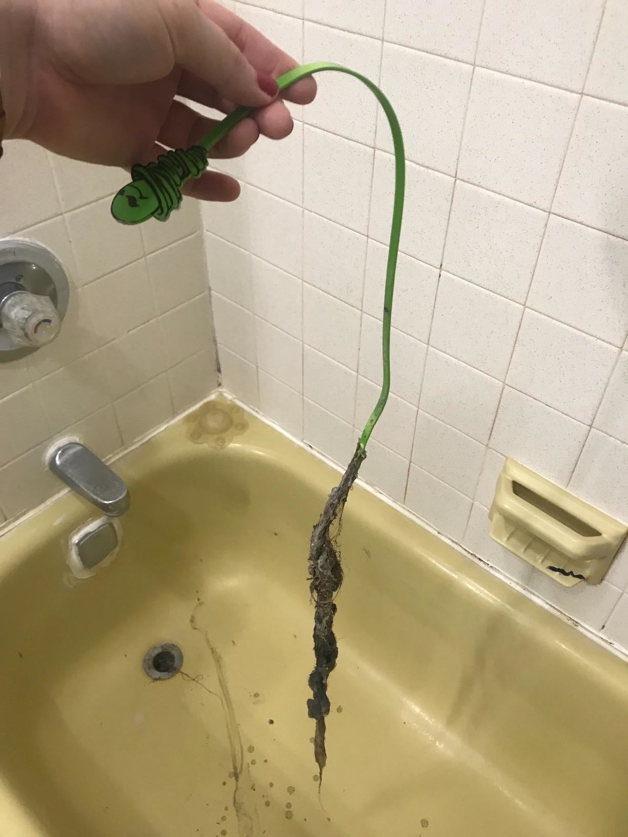 Reviewer's manus  utilizing greenish  integrative  drain instrumentality   to region   bedewed  hairsbreadth  from tub drain