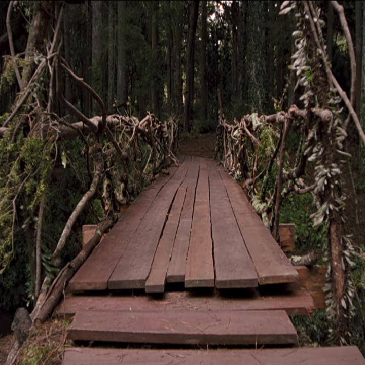 Bridge To Terabithia It S Time We Talk About Leslie S Death