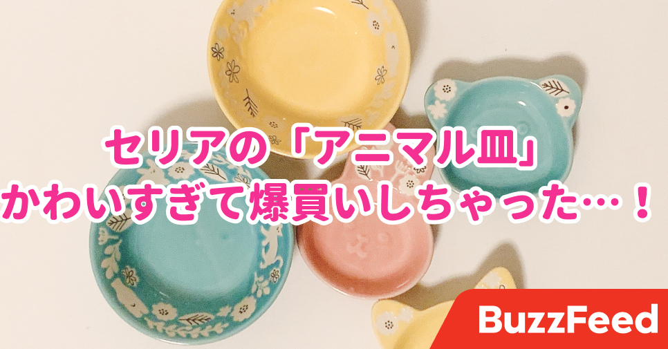 本当に全部110円 セリアの アニマル食器 かわいすぎて爆買いしてしまった