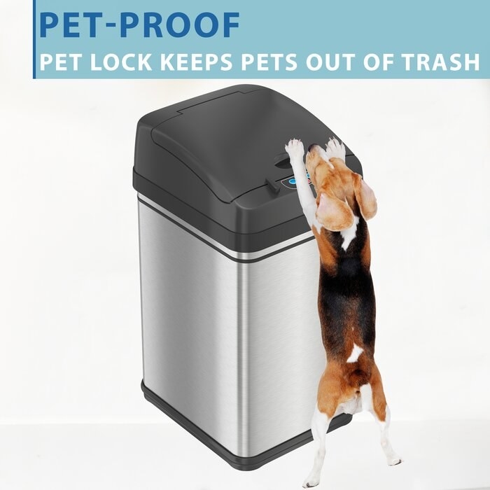 A dog failing to open the Black PetGuard Stainless Steel 8 Gallon Motion Sensor Trash Can