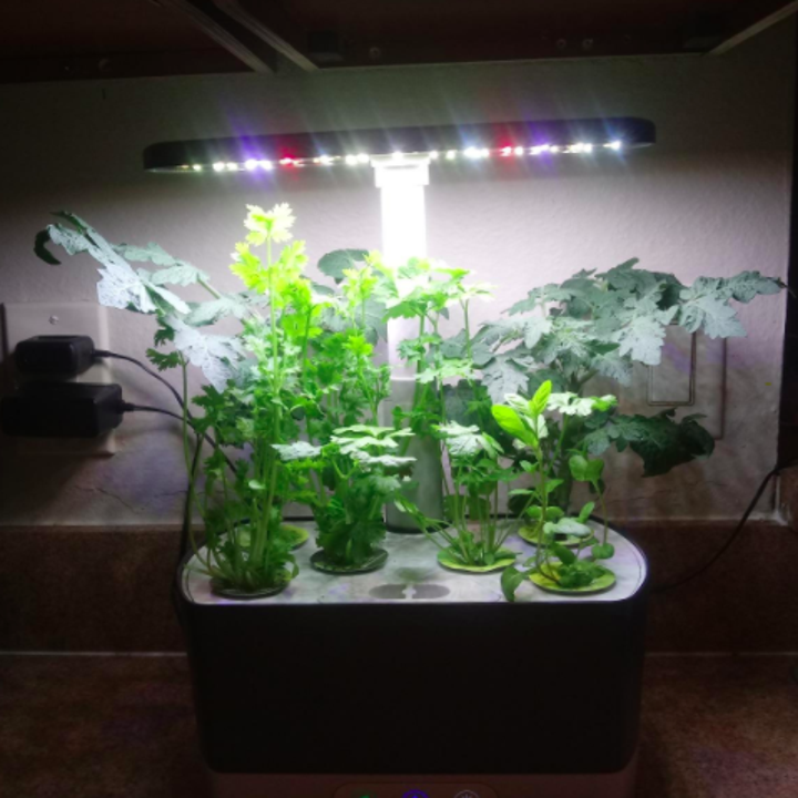 Reviewer shows black countertop garden sprouting with green herbs