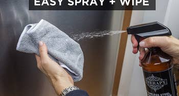 Model's hand spraying stainless steel cleaner into a towel