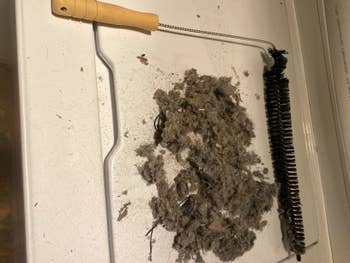 Reviewer's image of dryer brush with a large amount of lint