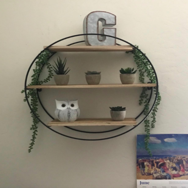 Reviewer's circle floating shelf with an owl sculpture, succulent, and vines