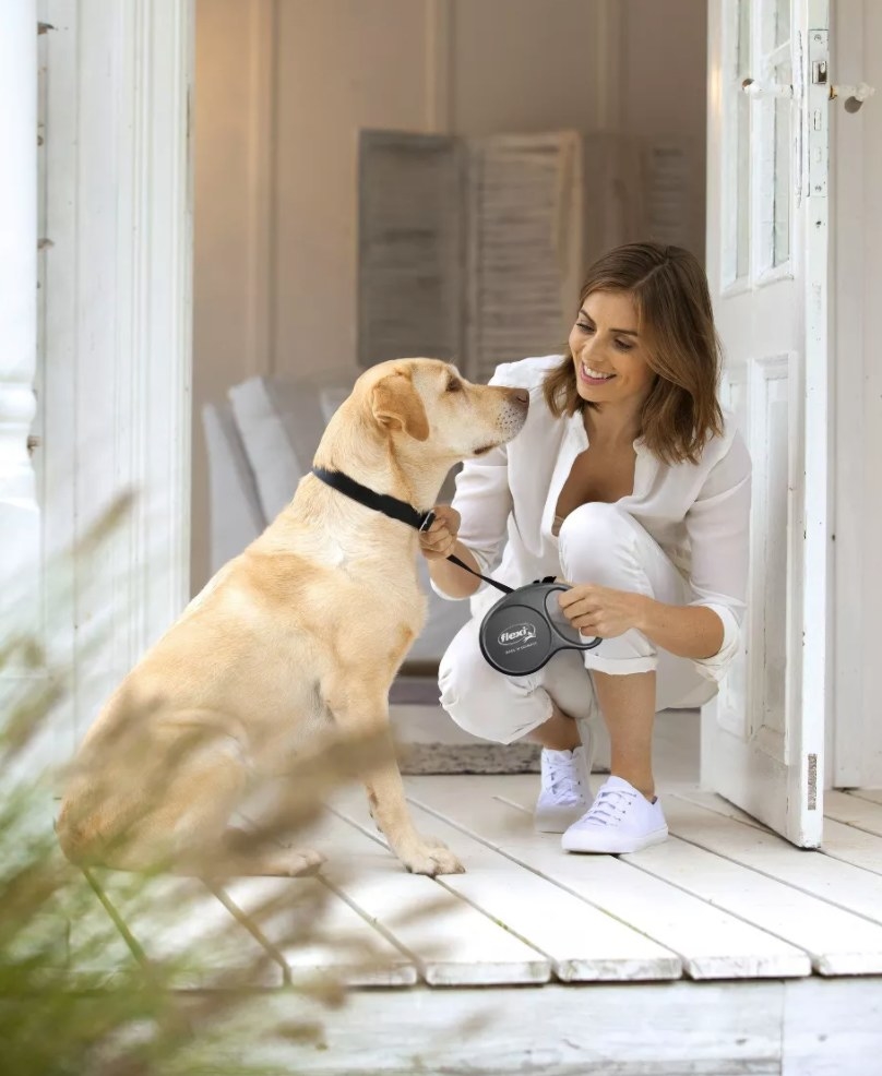 A dog wearing the black retractable dog leash