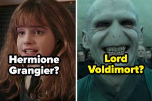 Hermione Granger and Lord Voldemort from the "Harry Potter" movies with their names misspelled