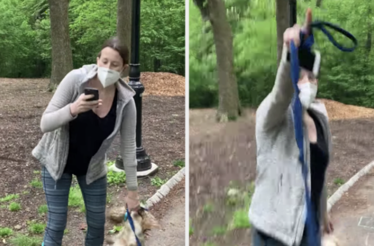 Amy Cooper who called the police on a Black man in Central park after he asked her to leash her dog