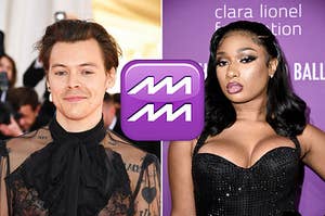 Harry Styles next to Megan Thee Stallion with the Aquarius symbol between them