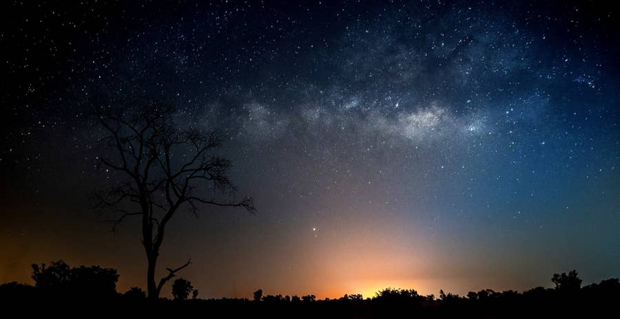 Light pollution is drowning the starry night sky faster than thought, Science