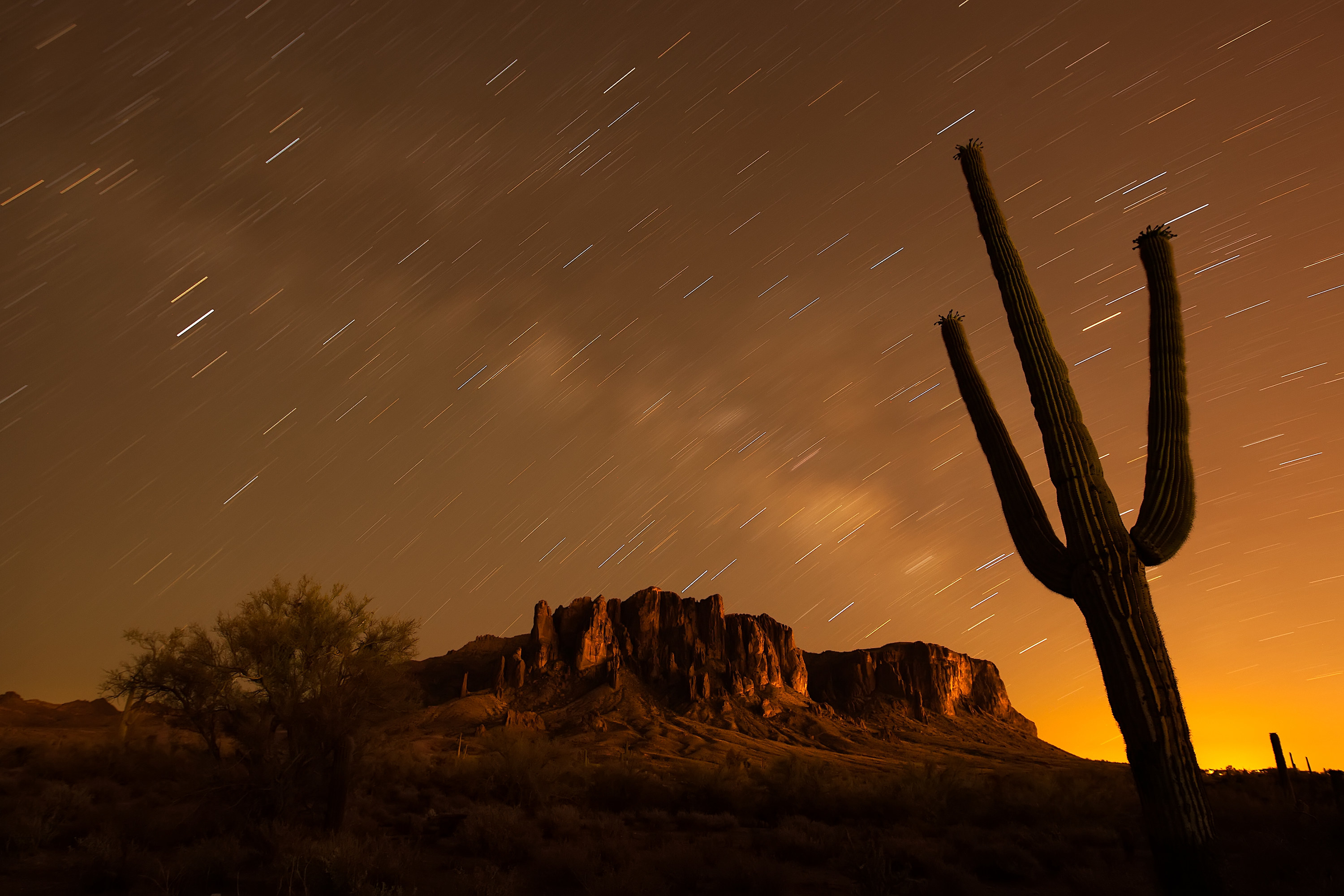 a cactus in the foreground with blurry star trails and the Superstition Mountains in the background, in Lost Dutchman State Park