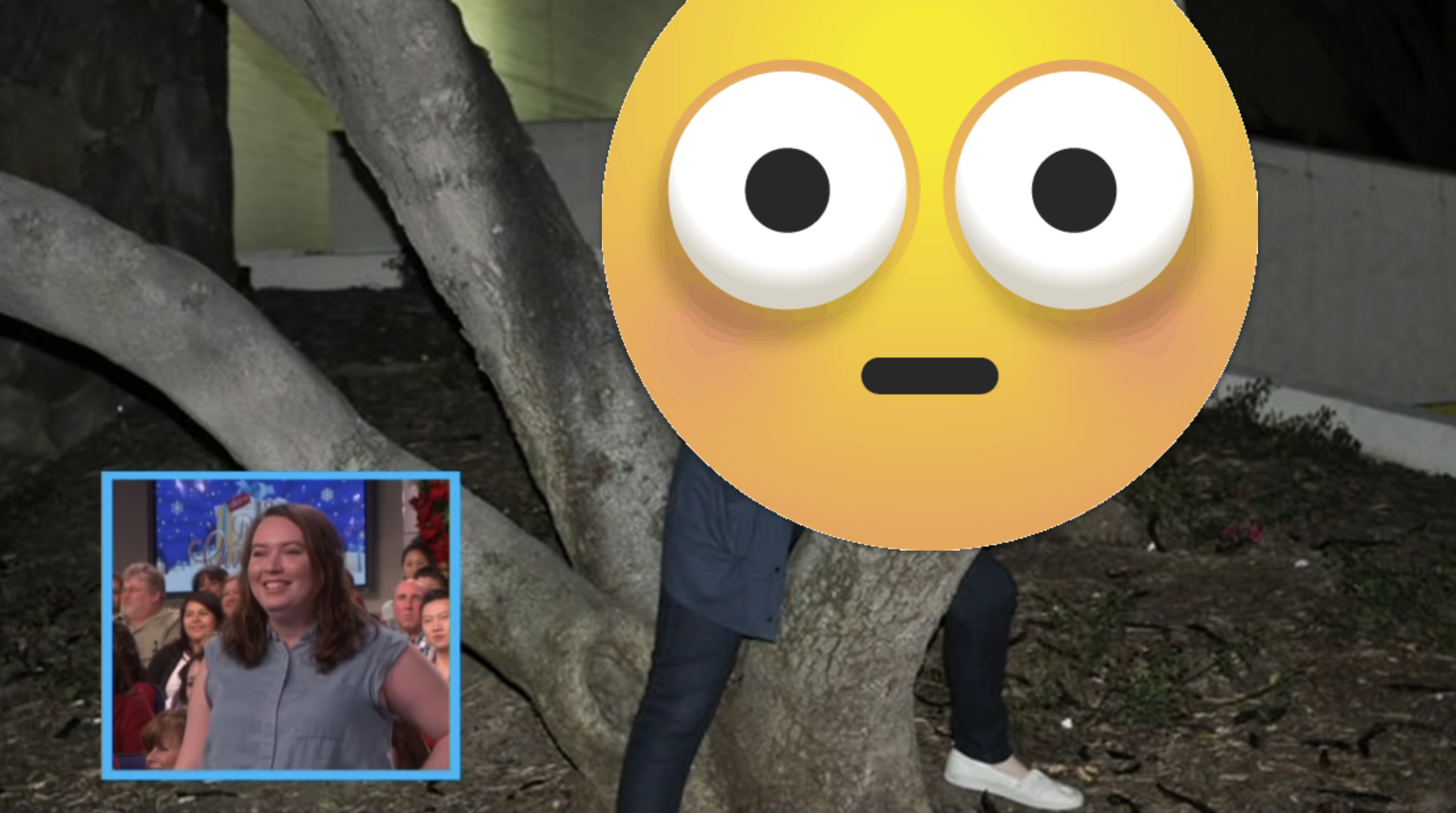 Ellen sharing a pic of a fan humping a tree 