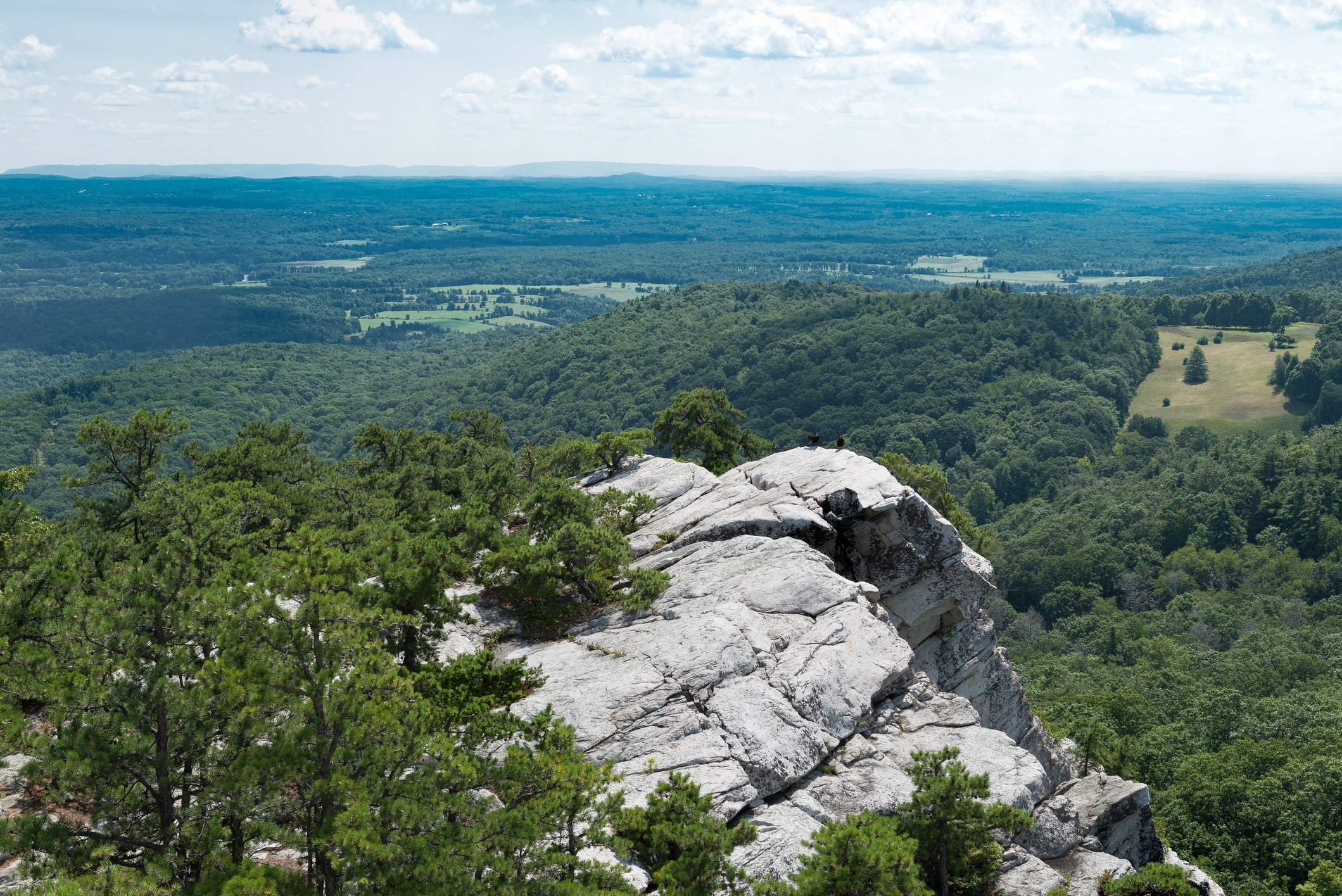 view of a white rocky cliff surrounded by lush trees over Mohonk Preserve