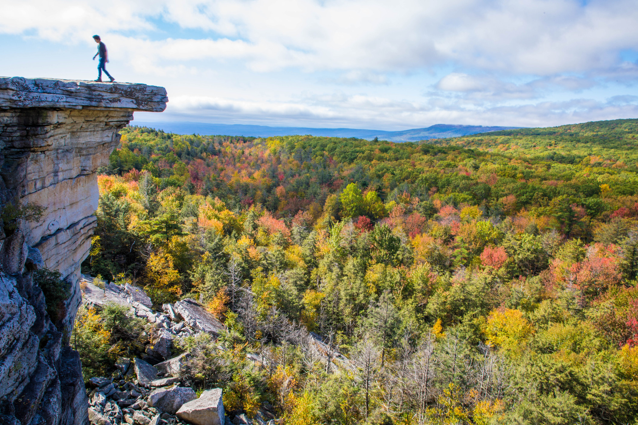 a man walks back towards land from the edge of a rocky white cliff; a forest of trees with fall colors lies beneath