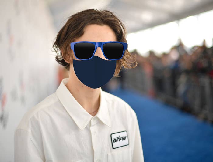 
Timothée Chalamet on the red carpet with a poorly photoshopped pair of sunglasses and a face mask 