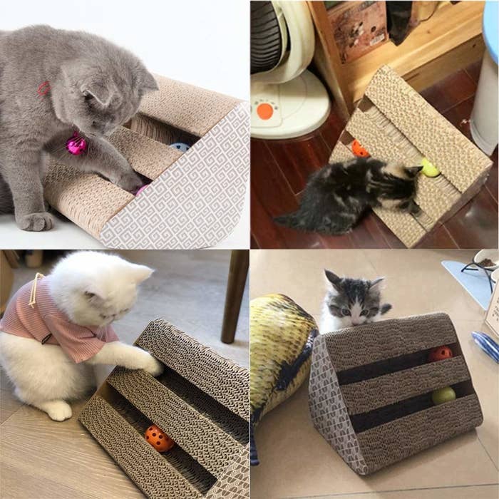 Images of cats playing with the scratching post.