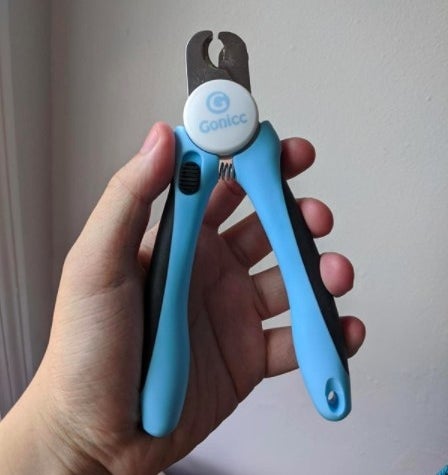 Hand holding the nail clipper