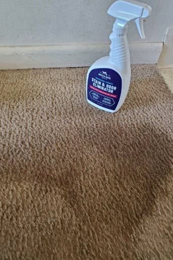 a reviewer's carpet stain before being treated with a stain eliminator