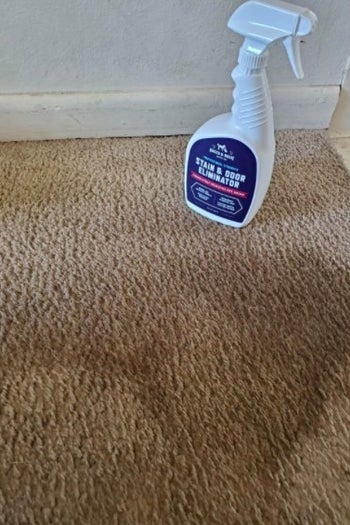 a carpet stain before being treated with a stain eliminator
