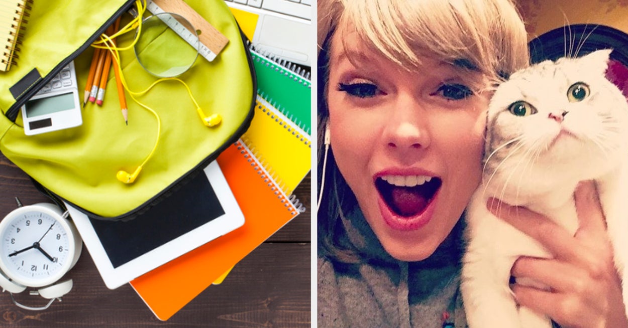 What Type Of Cat You Are BackToSchool Supplies Quiz