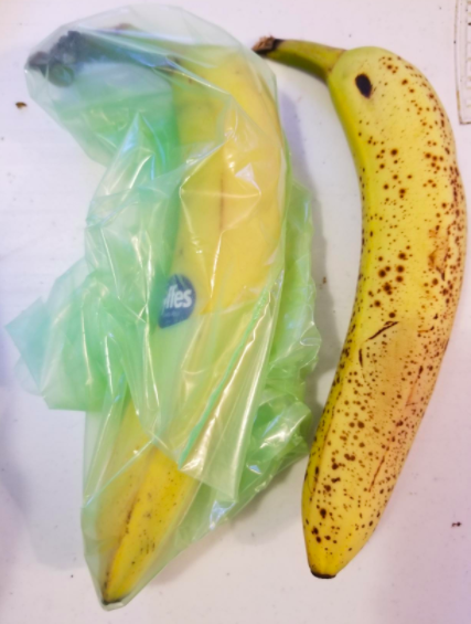 On the left, a barely browned banana in one of the bags. On the right, a banana with lots of brown spots, not in a bag