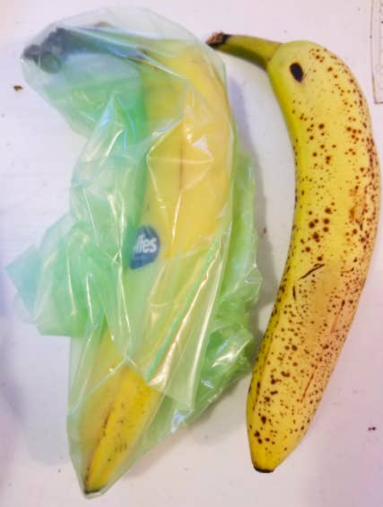 On the left, a barely browned banana in one of the bags. On the right, a banana with lots of brown spots, not in a bag
