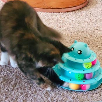 cat playing with ball toy tower