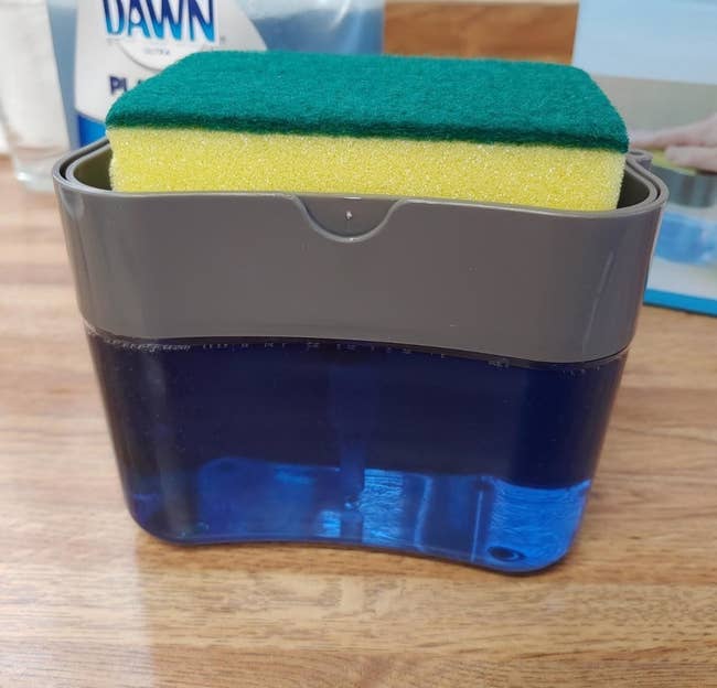 A reviewer's sponge resting in the dispenser caddy