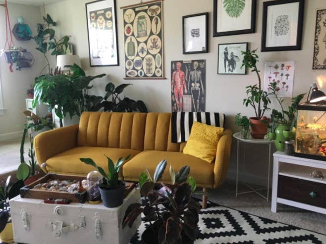Reviewer&#x27;s mustard-colored velvet futon with a yellow throw pillow next to a geometric carpet, various plants, and a treasure-chest inspired coffee table