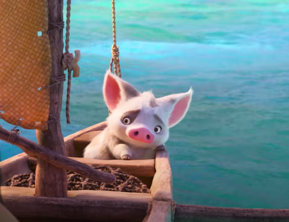 Pua on a boat in &quot;Moana.&quot;
