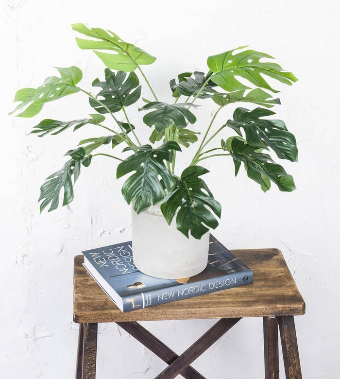 20 Faux Plants On  That Reviewers Truly Love