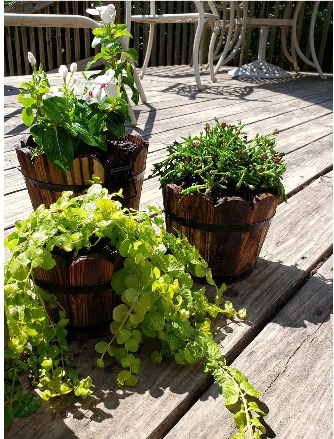 three wooden barrel pots with plants in them