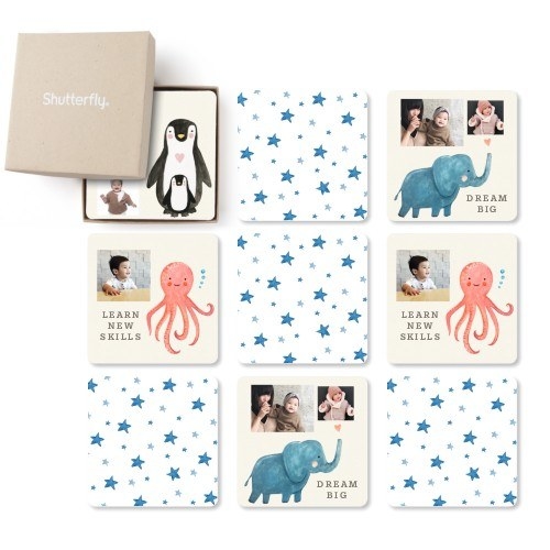 Nine square white cards with blue stars on the back and animal and personalized images on the front 